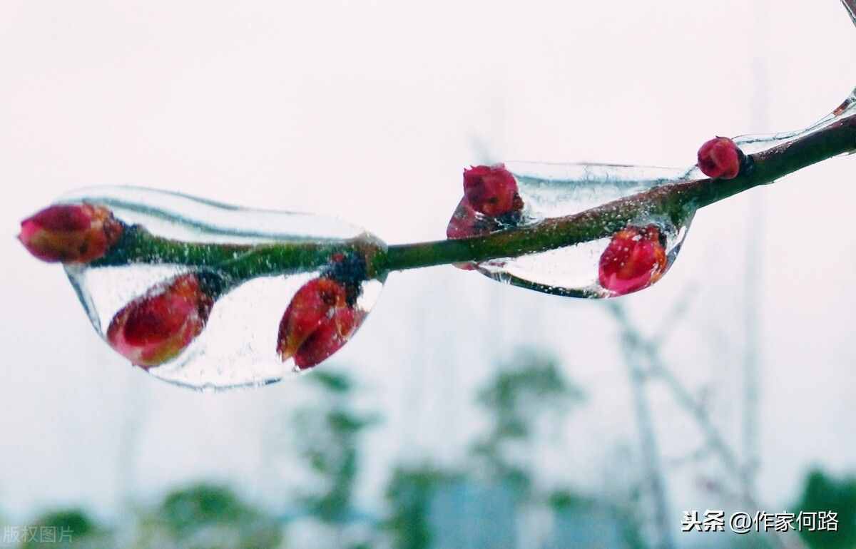 心灵的小夜曲